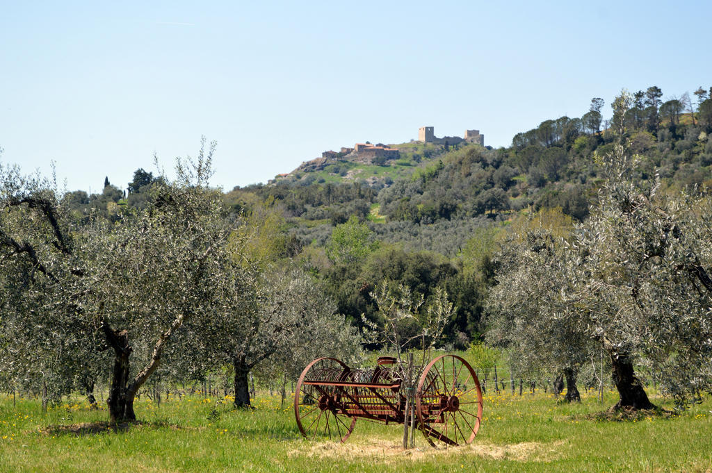 Roccatederighi Country House Il Ciliegio المظهر الخارجي الصورة